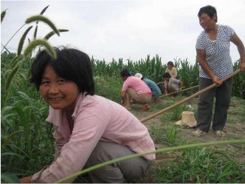  还在娘家|好消息！农村出嫁的女儿，符合条件，就能领取这4项补贴，快看看