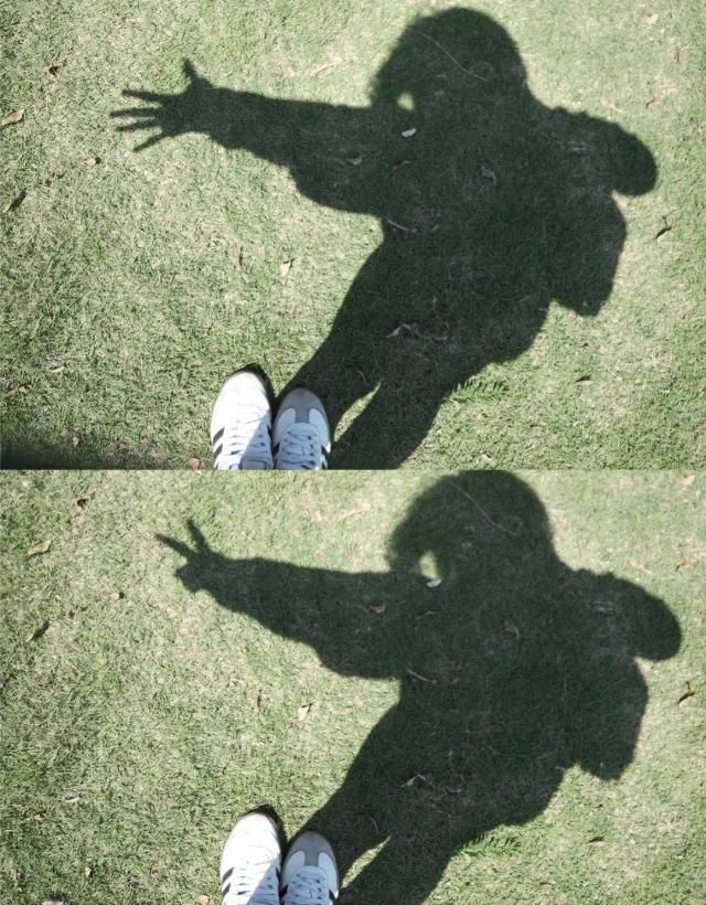  宿舍|“忍受了宿舍&合租生活后，我终于搬出来一个人住了”