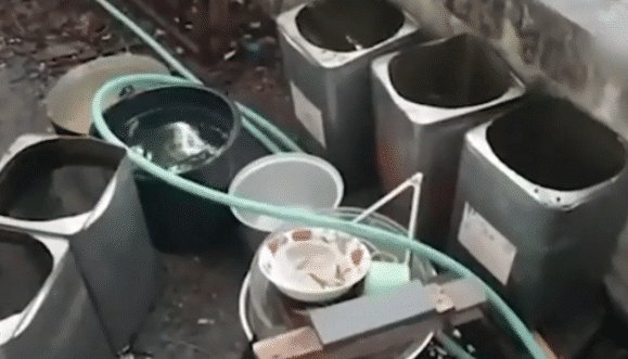 庆祝|夫妻中444元彩票还要喝酒庆祝，半夜妻子发病，丈夫抱尸睡觉浑然不知