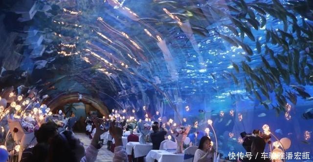 华夏文旅海|每年这一天,浪漫都溢出了海洋公园!