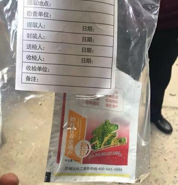 少女|19岁少女服毒自杀，手机被锁死因成谜，生前给老板发462条短信