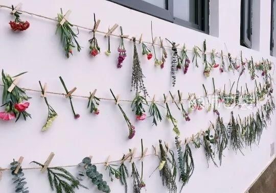  搞定|100张精选案例教你搞定开学走廊环创!