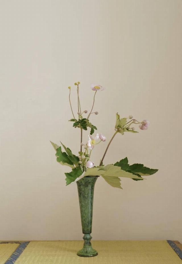  吊钟|她们的家，美得很让人种草