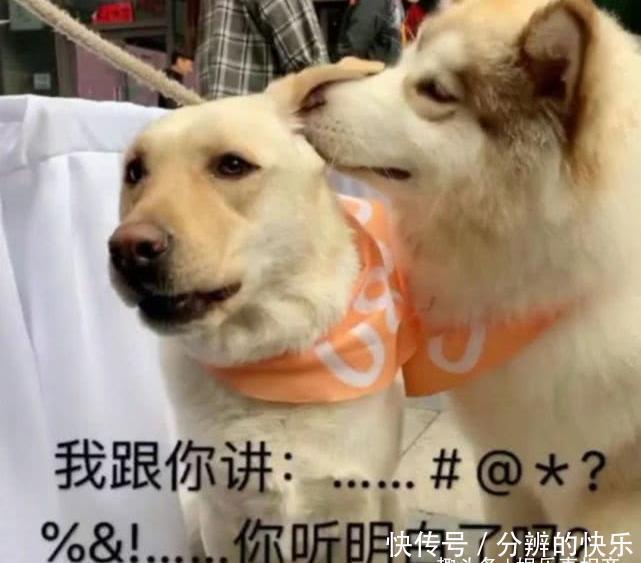 老公|幽默笑话:昨天半夜开空调老公半夜被冻醒了,只见老公被冻的瑟瑟