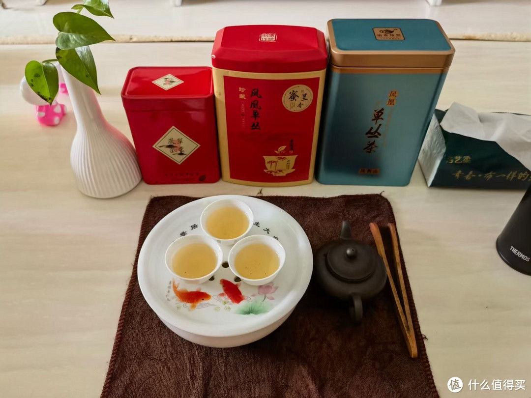 晚上熬夜，白天喝茶，将朋克养生进行到底！2023