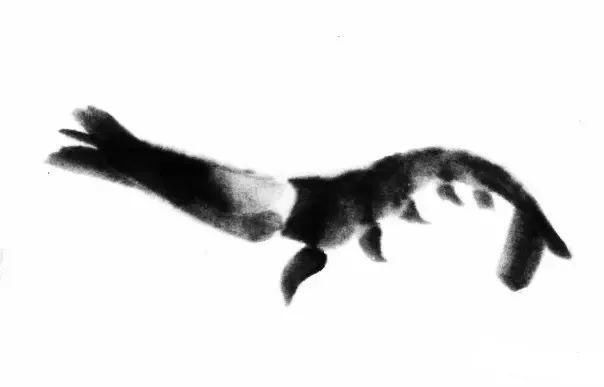  画法|怎么画鱼虾蟹蛙、写意《趣》画法