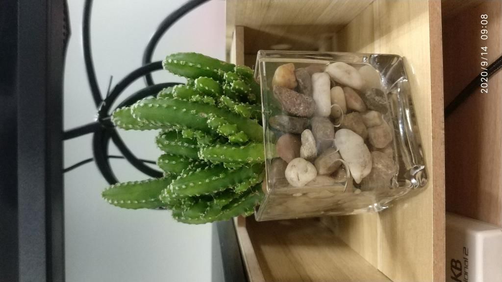 容器|无限桌面|桌面作为容器装的是什么?