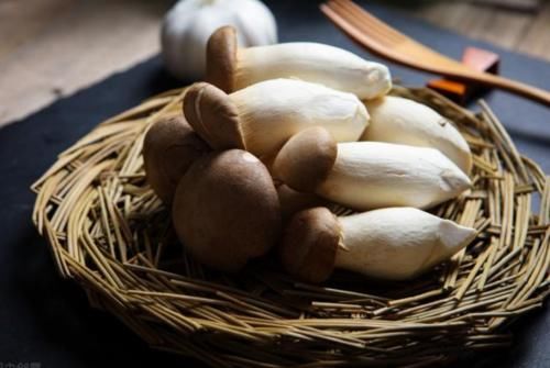  购买|买杏鲍菇时，挑粗的还是挑细的？菜农说漏了嘴，以后别再乱买了