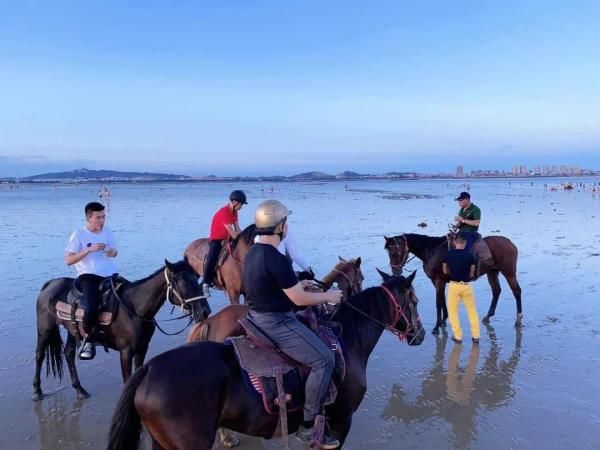  马冲进|3男子骑马冲进海里救起12岁男孩！半个月后，噩耗传来…