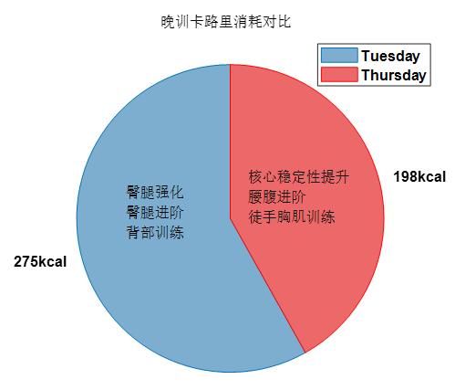 山鹰社|室内锻炼怎么做？看北大学子的！