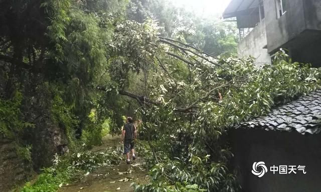 山体|四川绵阳强降雨 城市内涝山体滑坡阻断通行