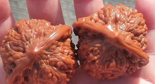  满天星核桃|天热就多盘满天星，越冷就要多盘白狮子