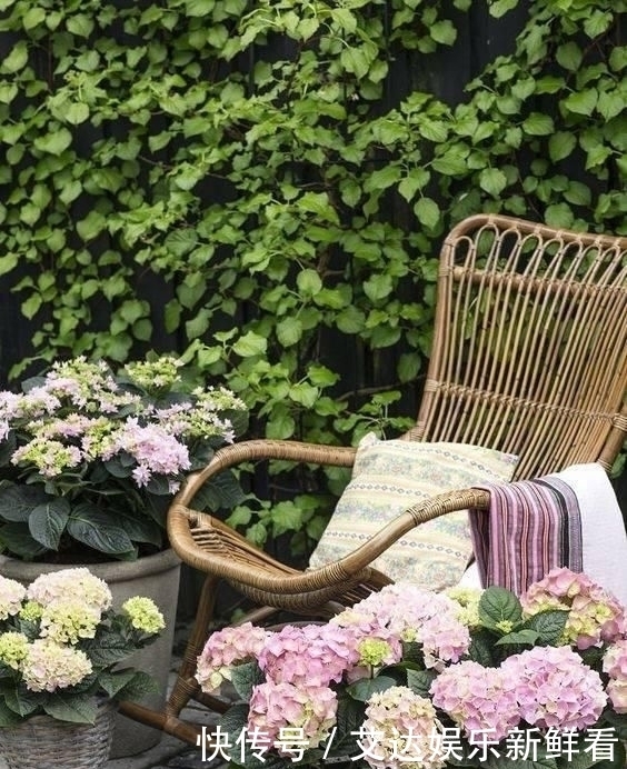 暮年|你我暮年,有个小院,足矣!