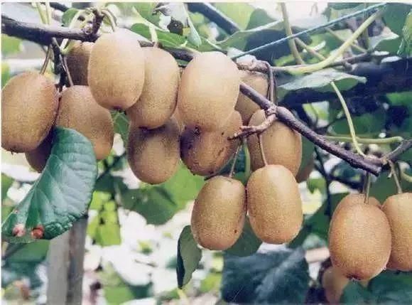 回来|宝鸡！我回来了！