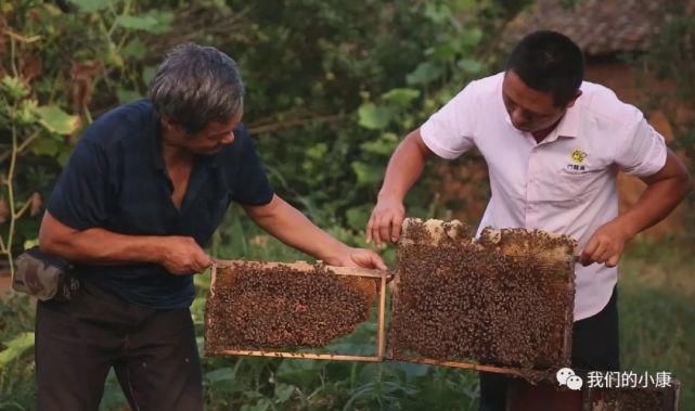  科大学第|让数据多跑路，患者少跑腿，这家医院是怎么做到的？