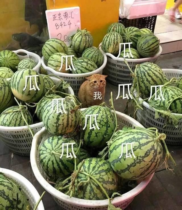  身陷|他智商140，31岁成北大教授，如今身陷出轨疑云跌“神坛”