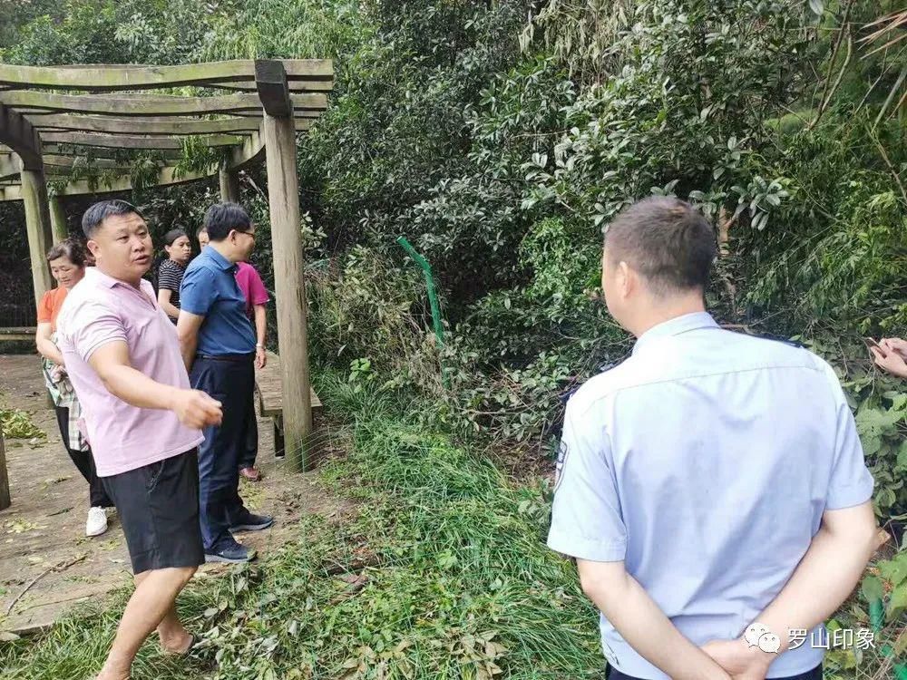  新区杜堰河|罗山鹭林湿地近日遭人砍伐