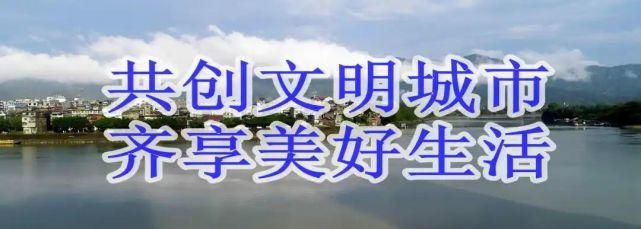 车牌号为桂|【曝光台】来看看这些违章车辆，坚决曝光
