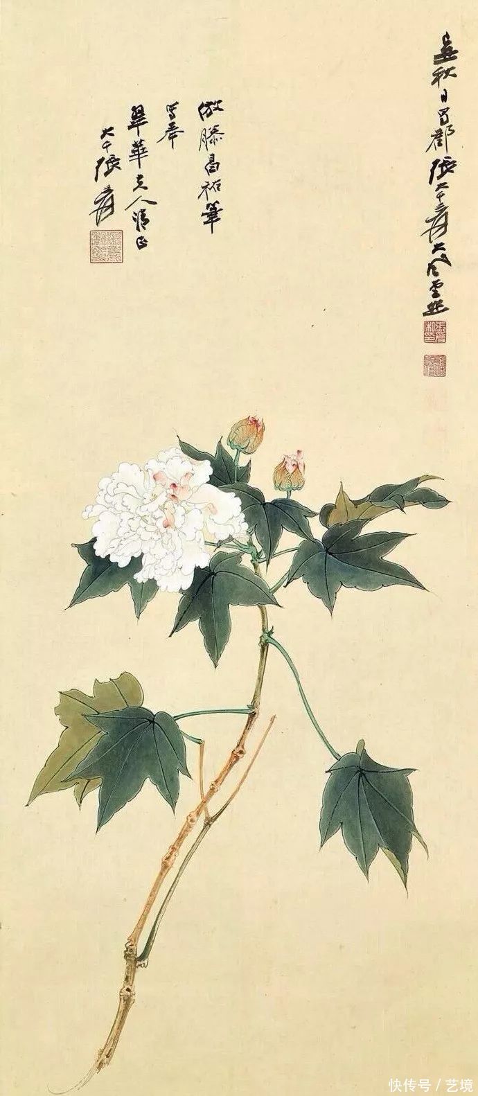 张大千花鸟画欣赏（100幅）