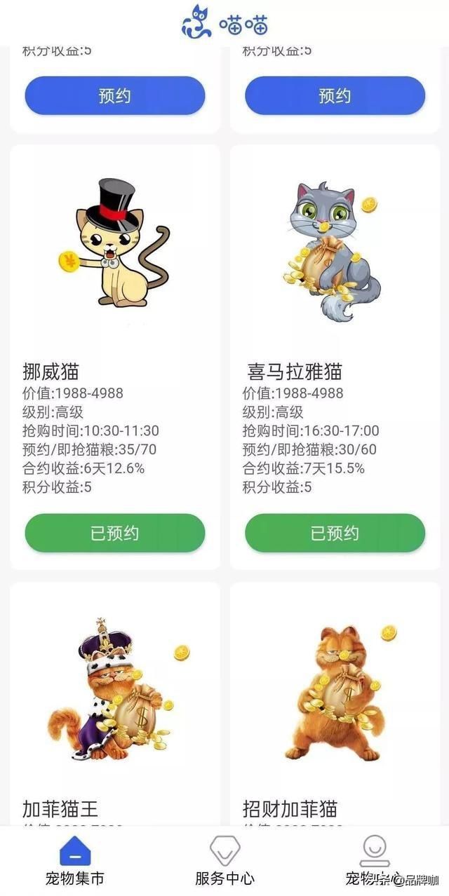 养猫|“云养猫”太费钱?6000多人被骗得血本无归