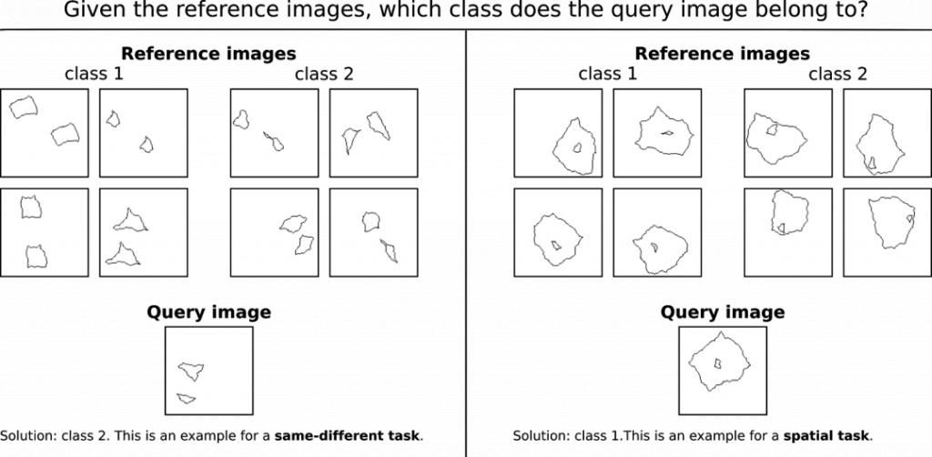  研究|人类和机器感知比较中常见的三大陷阱，你中了几条？