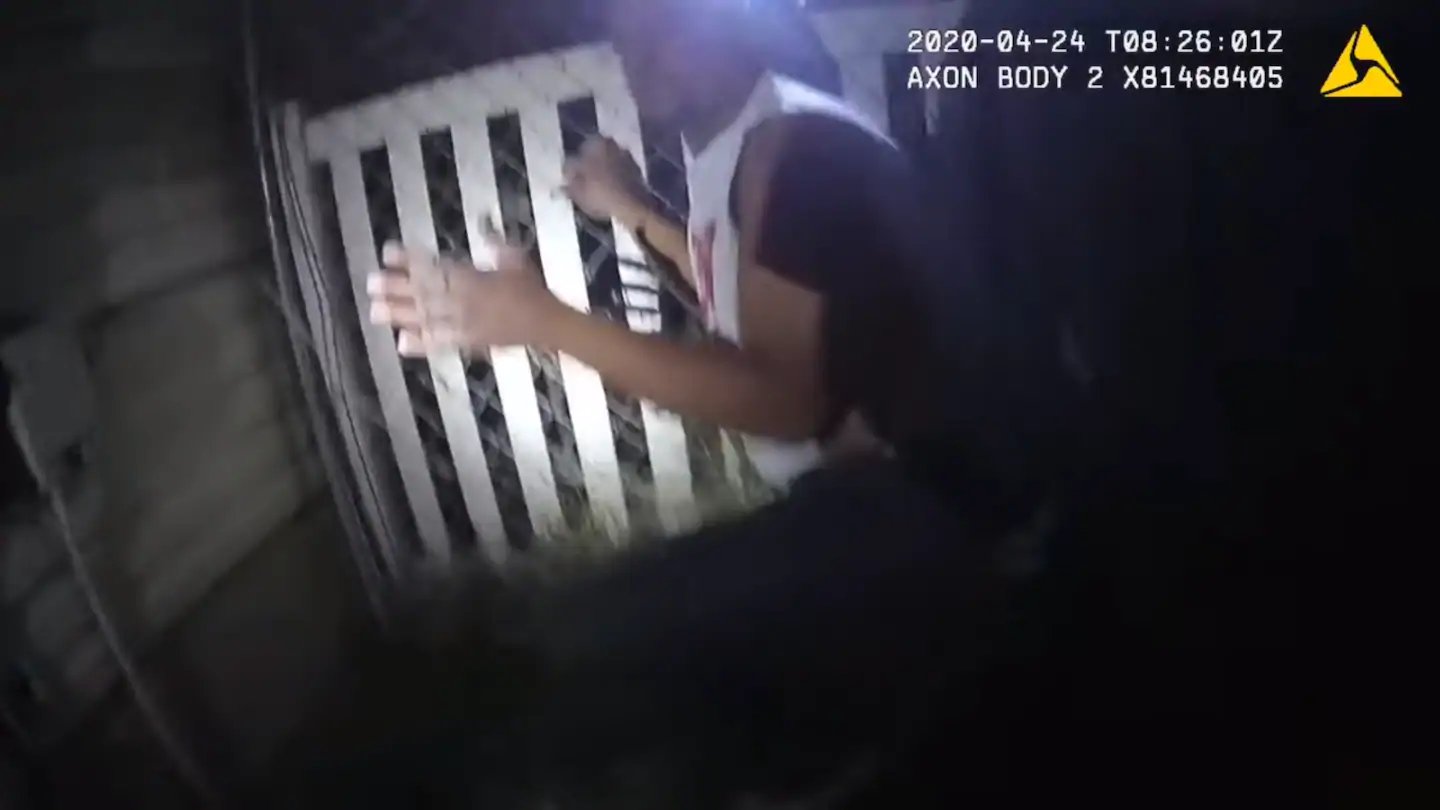 海外|美一警察命令警犬咬跪在地上的黑人男子,已被指控,男子或需截肢