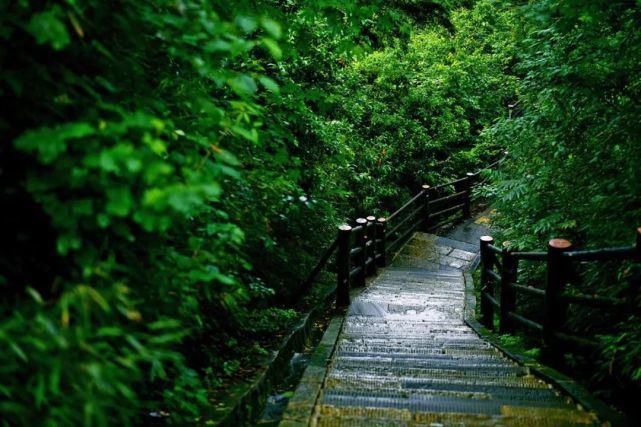  去一趟|避暑王者峨眉山，是时候去一趟了！