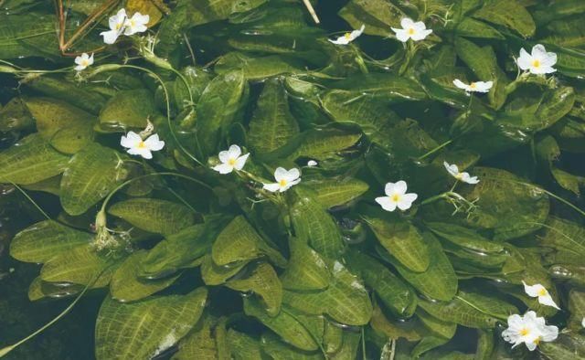 生长|云之南，一个生生不息、万物生长的地方