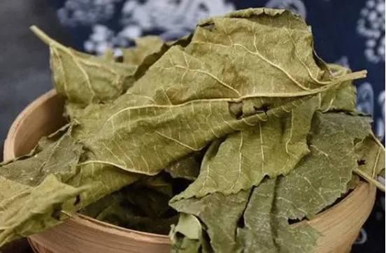 开心|小小桑叶,大有用途,坚持泡水喝,4大好处会让你“开心不已”