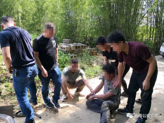 平南县|抓！平南警方连抓13人。