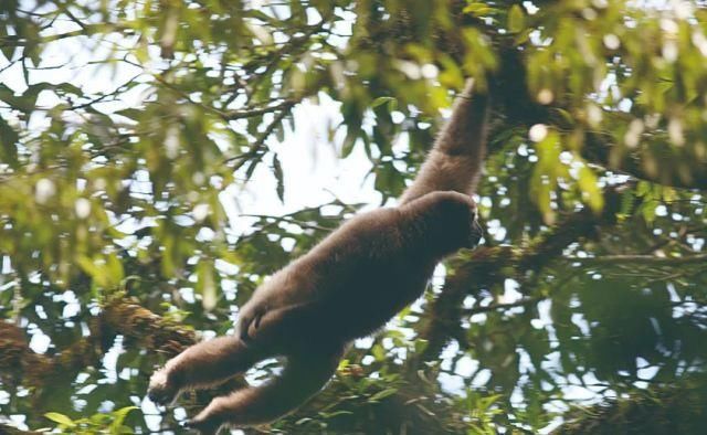 生长|云之南，一个生生不息、万物生长的地方