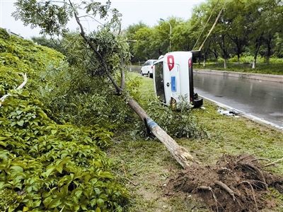  湿滑|雨中路面湿滑 轿车撞树侧翻