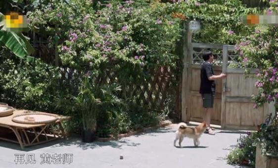  剪辑|《向往的生活》作假实锤？吃饭叫外卖假装送客，剪辑师都无法圆场