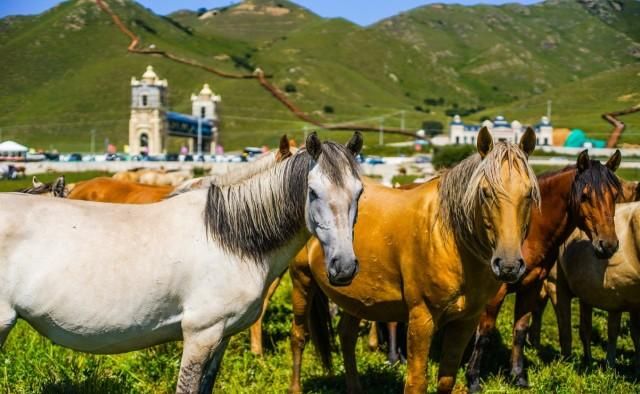 自驾游|一份颠覆你对内蒙传统印象的自驾游攻略,原来内蒙的美远不止草原
