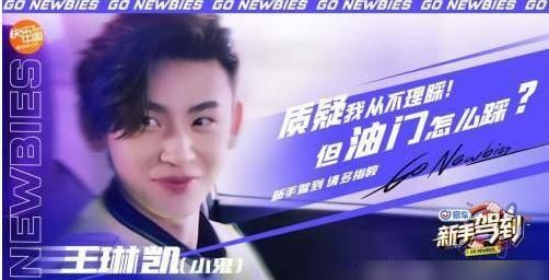  明星|原来明星也为“驾照愁”，《新手驾到》全新上线，有你喜欢的人吗