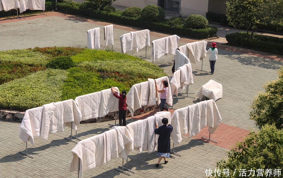 夏天最热的时候不能晒被子吗(为什么夏天最热的时候不能晒被子？这个理由，让很多人不得不服)
