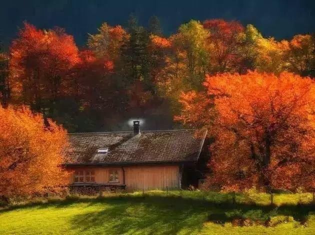  秋景|这一组迷人秋景，美爆了朋友圈！