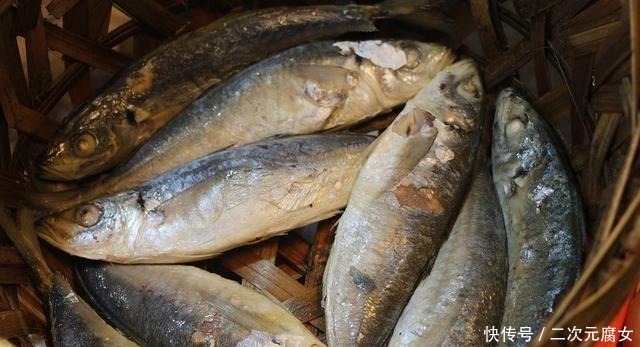 价格|以后去市场买这5种鱼,连鱼铺老板都会夸你是行家