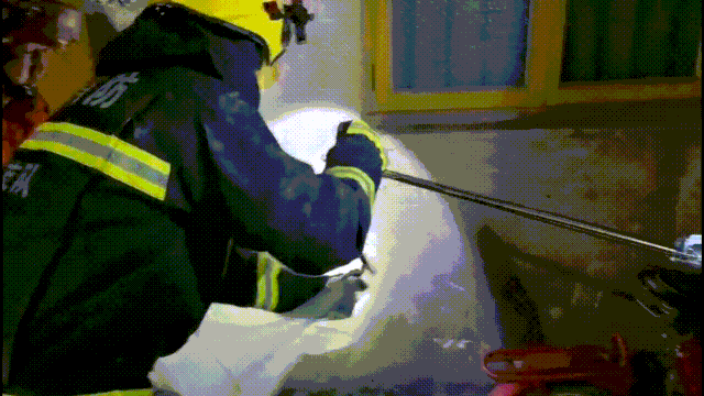  朋友|夏季【蛇】出没丨看“蓝朋友”如何将其治服