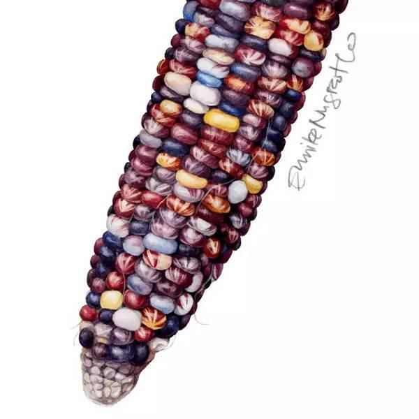  全职|一位全职妈妈喜欢疯狂画画，教你画水彩花卉