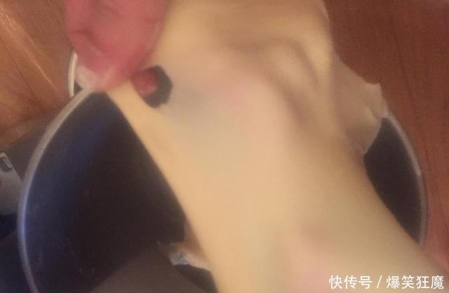 菠萝包|简单易做的一款小面包,清香酸甜不会腻,自己制作干净又卫生