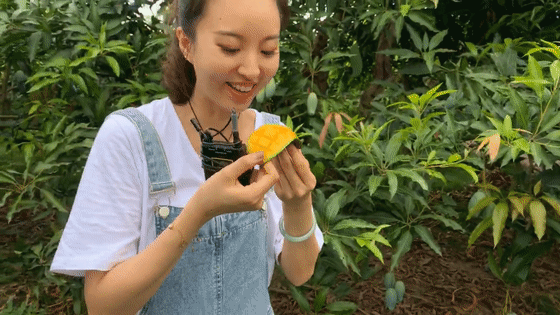  广西卫视|它凭啥“剩者为王”？因为够老水够甜够大啊