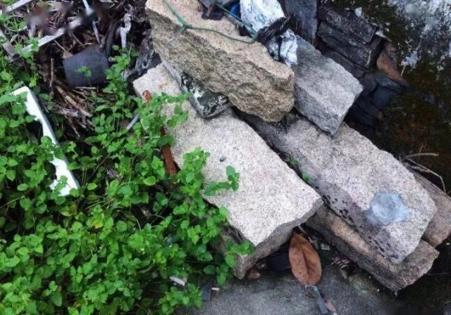 风林|风林：被盗的黄丕烈墓