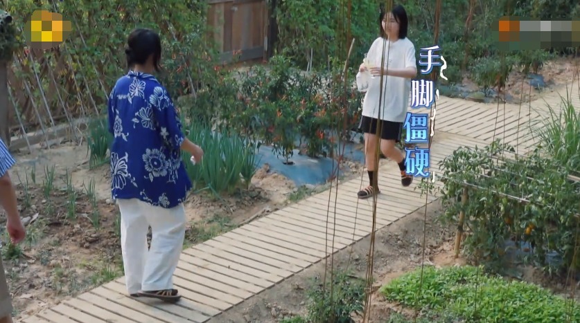  向往|《向往的生活》实现成语接龙永动环，郭麒麟太有梗了