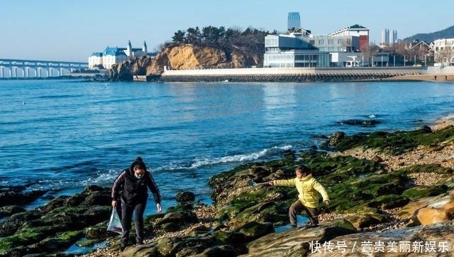 看过|看过太多的海,仍为这座“北方明珠”着迷