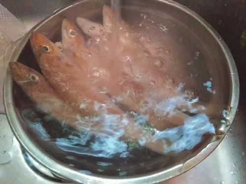 最多|被误解最多的一种鱼，比牛肉营养比羊肉美味，一斤8元却很少人买