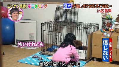 老婆|老婆变成了石原里美?脑洞和尺度齐飞,这档综艺想抄都抄不来
