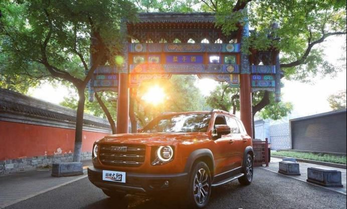 采用|能否成为下一辆爆款车？哈弗大狗起售11.99万元