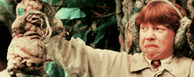  魔法|哈利波特40岁了，我才走进现实中的魔法世界