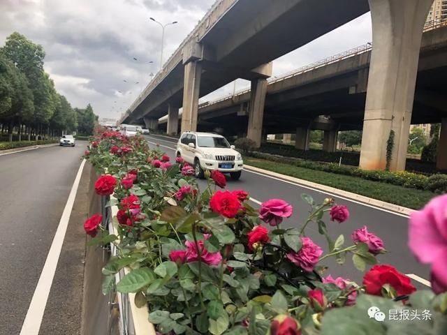  昆明|“进度条”来啦！昆明62条道路8月底前完成整治